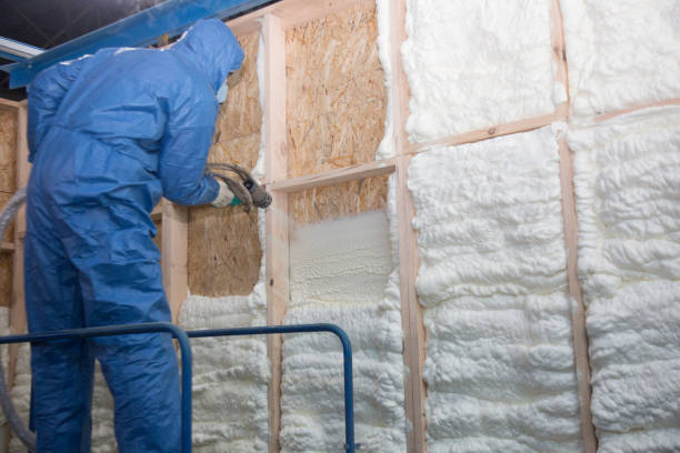 Best Soundproof Insulation  in Rogers, AR